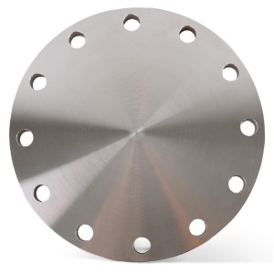 Brida forjada ciega DN250 273 mm PN16 1.4541 / 321
